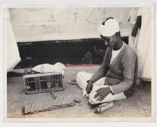 Singapore Indian Fortune Teller Bird Chooses Card Unique Photograph 1930s - 19
