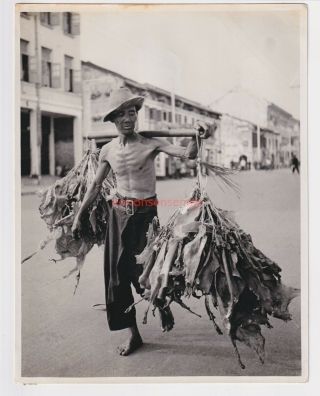 Singapore Chinese Coolie Carrying Dried Pig Skin Unique Photograph 1930s - 18