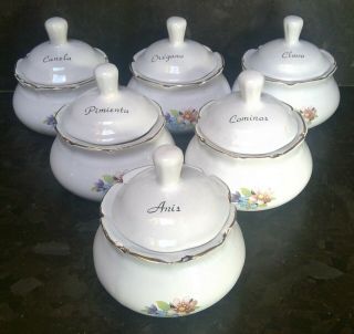 Vintage Ceramic Herb Spice Jars W/lids - Set Of 6 - In Spanish