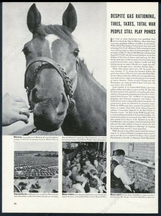 1942 Whirlaway Horse Racehorse Photo Vintage Print Article