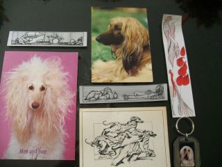 Seven Afghan Hound Paper Items