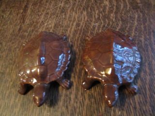 Vintage Pottery Male & Female Anatomically Correct Turtles Naughty Nr