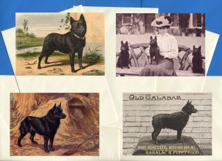 Schipperke Pack Of 4 Vintage Style Dog Print Greetings Note Cards 2