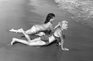 Marilyn Wesley Marsha Jordan Nude 35mm Negative Busty Model Vintage Pinup N3.  8
