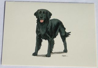 Flat Coated Retriever Dog Zeppa Studios Fur Children Note Cards Set Of 8