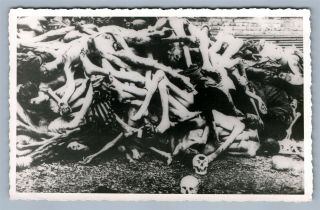 Dead Bodies Skulls German Concentration Camp Vintage Real Photo Postcard Rppc