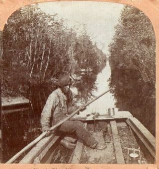 1898 Black Man In A Boat,  Dismal Swamp,  Virginia.  A.  S.  Campbell Stereoview Photo