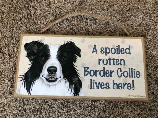 A Spoiled Rotten Border Collie Lives Here Hanging Wooden Sign 5 " X10 "