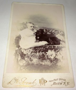 Rare Victorian American Cute Child,  Pet Dog Animal York Cabinet Photo Us