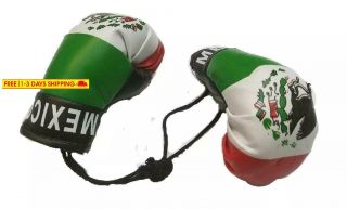 Bunfires Mexico Boxing Glove Banner Flag Window Mirror Mexican Pride