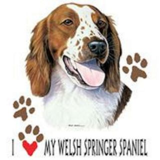 Welsh Springer Spaniel Love Tote