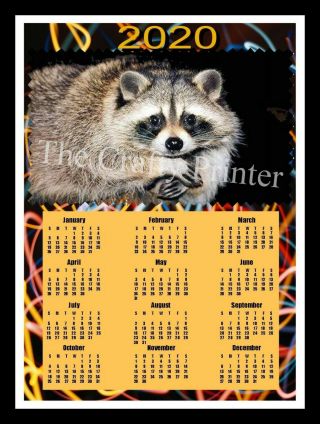2020 Calendar Magnet - Raccoon - Size 8 " X 10 "