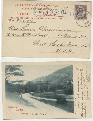 70.  Rare Postcard Malaysia Botanical Garden Stamp Cancel Penang - Nj 1905