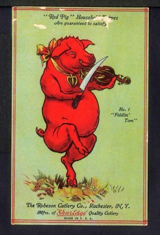 1915 Robeson Cutlery Co Rochester Ny Red Pig Postcard Advertising Kitchen Knife