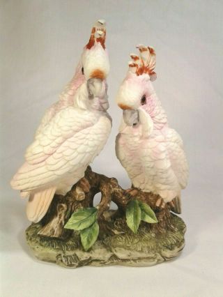 Andrea By Sadek Pink Cockatoos Bird Porcelain Figurine - Made In Japan