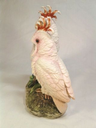 Andrea by Sadek Pink Cockatoos Bird Porcelain Figurine - Made in Japan 3