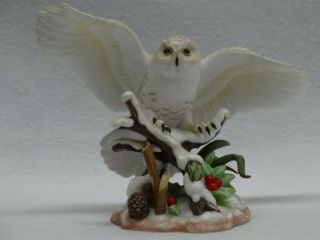 2003 Lenox Snowy Owl Fine Porcelain Figurine 4 3/4 " H X 6 1/4 " L No Box