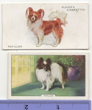 Papillon Dog Pet Canine 2 Different Vintage Ad Trade Cards 4