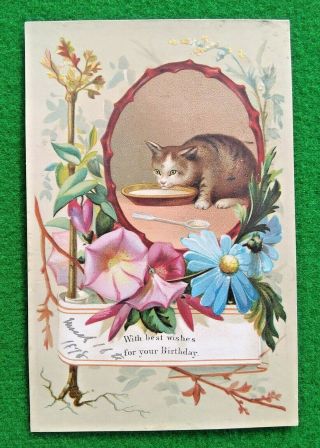 Victorian Birthday Card Cat With Saucer Of Milk Surrounded By Floral Decoration