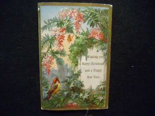 Victorian Scrap 6203 - Christmas Card - Red Wisteria And Bird
