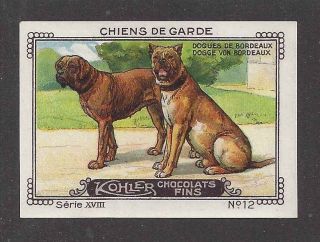 1931 France Nestle Cailler Kohler Dog Card Dogue De Bordeaux French Mastiff