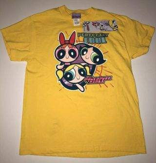 Vintage 2000 Powerpuff Girls Cartoon Network Licensed T Shirt Youth Large Nwt