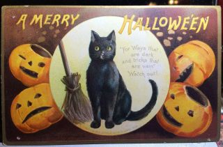 Black Cat,  Halloween Signed Ellen Clapsaddle Post Card 1909 Beer Advertising