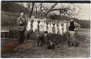 1904 - 18 Rppc Rabbit Hunting Man Men Dogs Shotgun Hunter Db Real Photo Postcard