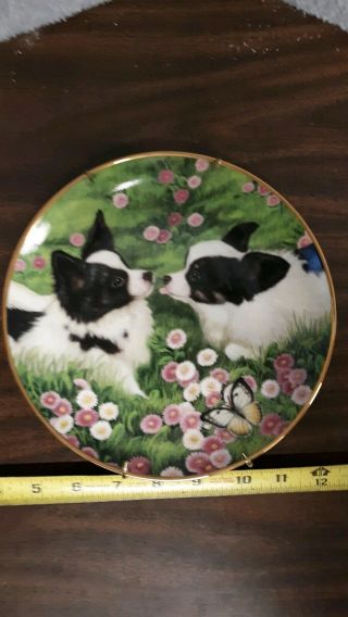 Danbury Papillon Butterfly Kisses Dog Limited Edition Plate