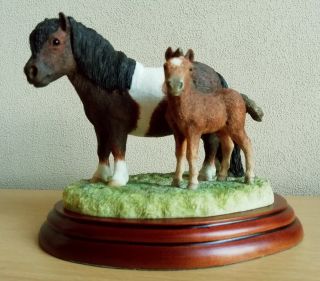 Border Fine Arts “horse Breeds” Figurine A2690 “shetland Mare & Foal”,  Anne Wall