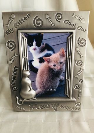 Kitten/cat 4x6 Picture Frame - Detail - Great Gift For The Cat Lover