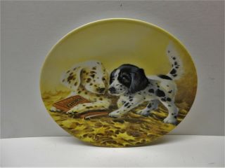 , English Setter Collectors Limited Edition Plate " Puppy Tales " Usa