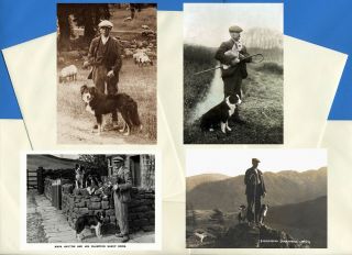 Border Collie Pack Of 4 Vintage Style Dog Print Greetings Note Cards 1