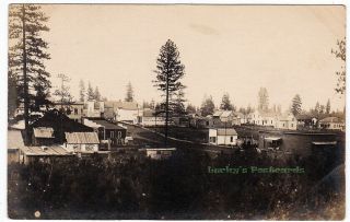 Reubens Idaho - 1913 Photo Postcard Lewis County Camas Prairie
