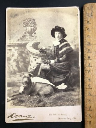 U Antique Victorian 1800s Deane Staffordshire Terrier Dog B&w Photo Cabinet Card