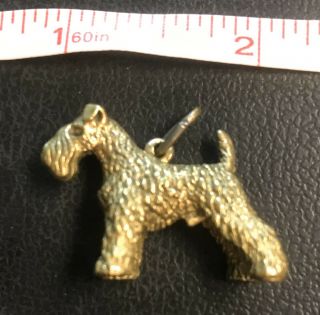 Airdale Terrier Brass Tone Charm Or Pendant (or Welsh,  Lakeland Or Kerry Blue?)