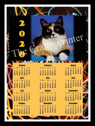 2020 Calendar Magnet - Cat - Calico Cat