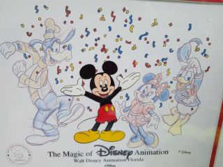 The Magic of Disney Mickey Mouse Cel,  Celebrating 70 Years,  MGM Studios 3