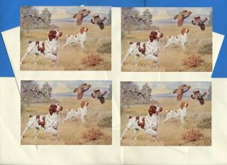 Brittany Spaniel Pack Of 4 Vintage Style Dog Print Greetings Note Cards