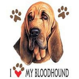 Bloodhound Love Tote