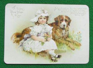Victorian Card,  Girl Holding Posy With Faithful [st Bernard?] Dog By Her Side
