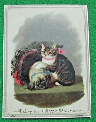 Victorian Xmas Card Tabby Cat With Pug Dog Cuddled Up Together H & F