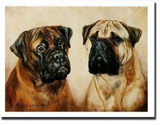 Bullmastiff Pet Dog Pair Notecards 6 Note Cards 6 Envelopes By Ruth Maystead
