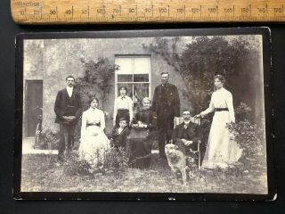 S Antique Victorian 1800s Generational Family Terrier Dog B&w Photo Cabinet Card