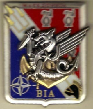 French Badge 8th Rpima (para Marine Infantry Regt) Inter - Arms Bn,  Macedonia Kfor
