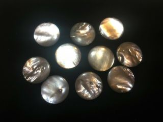 10 Large Gray Shiny Abalone Shell Mother Of Pearl Flat Shank Vintage Buttons