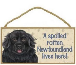 Spoiled Rotten Newfoundland Lives Here Sign Plaque Dog 10 " X 5 " Pet Gift