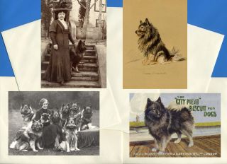 Keeshond Pack Of 4 Vintage Style Dog Print Greetings Note Cards
