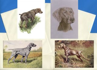 Weimaraner Pack Of 4 Vintage Style Dog Print Greetings Note Cards