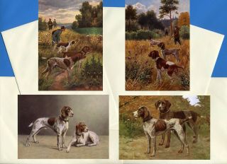 German Shorthaired Pointer 4 Vintage Style Dog Print Greetings Note Cards 2